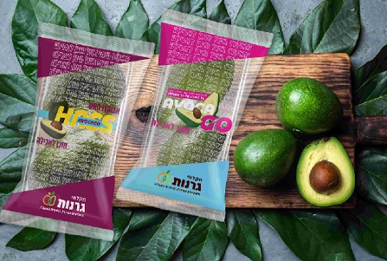 אבוקדו